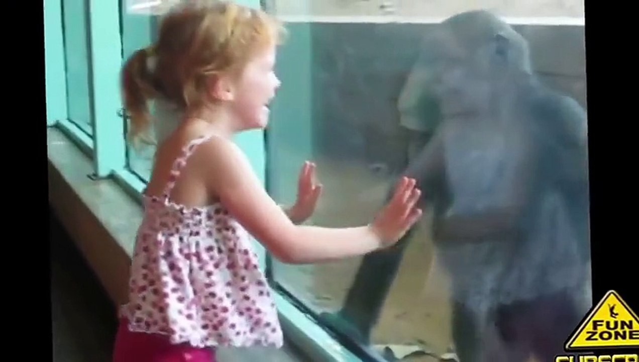 Kids At The Zoo Enjoy & Fun With Animals   New Compilation