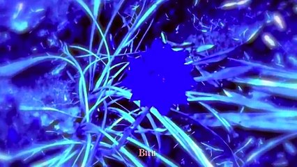 Neptunus: Short Film Dive 🌊