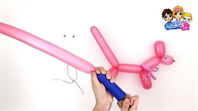 Wie man aus einem BALLON einen HUND bastelt