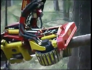 Amazing Wood Cutting Machine _ Check It