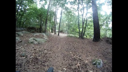 vtt saint sulpice de faviére (91)