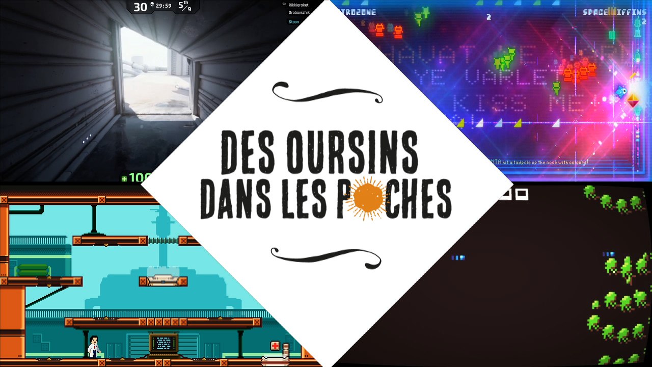 Des Oursins dans les Poches #5 (mars 2015)