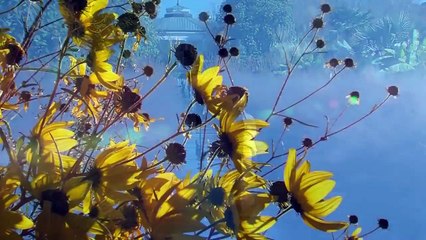 Friendship with God - Rick Joyner with Sid Roth's It's Supernatural!