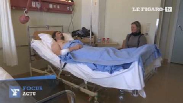 Norvège : un chasseur d'éclipse attaqué par un ours polaire