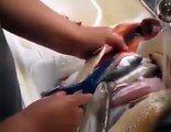 مچھلی کو صاف کرنے کا آسان ترین طریقہ دیکھیے