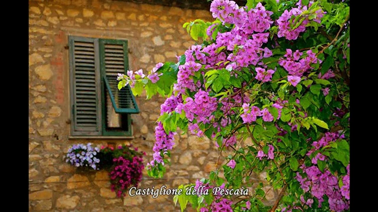 Under the Tuscan Sun - Sotto il sole della Toscana