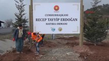 Denizli Cumhurbaşkanı Adına Hatıra Ormanı