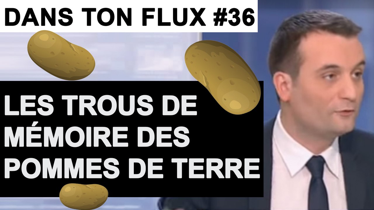 Les trous de mémoire des pommes de terre #DansTonFlux 36