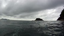 Ilha do Tesouro, Moai Gigante da Ilha da Páscoa, Praia Secreta, Peixes Venenosos, Navegação no Arquipélago da Almada, 25 milhas submarinas, Marcelo Ambrogi, Ubatuba, SP, Brasil, (53)