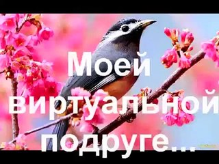 Красивая музыка о нежности и любви (Арабатский конь)