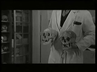 MEDECINE LEGALE: Le cadavre qui a parle 4 ans apres