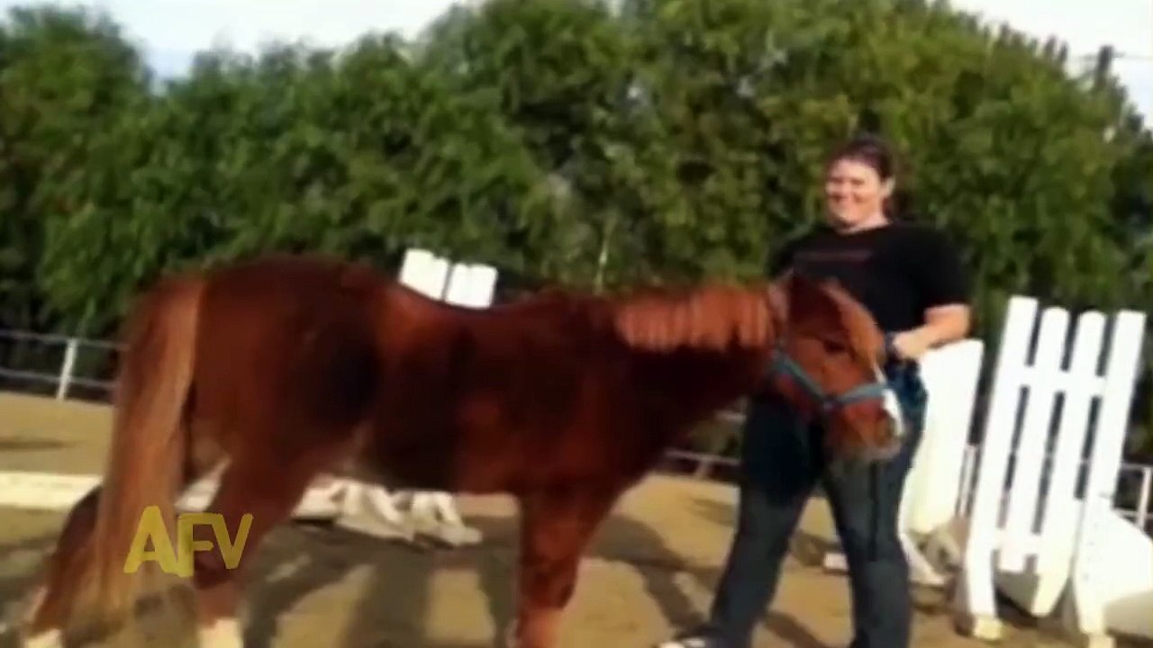 Funny girl falls from pony video Dailymotion