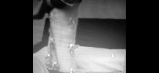 vídeo arte "Husband Kitchen" (AnaCris Loureiro, Rio de Janeiro / 2013)