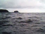Ilha do Tesouro, Moai Gigante da Ilha da Páscoa, Praia Secreta, Peixes Venenosos, Navegação no Arquipélago da Almada, 25 milhas submarinas, Marcelo Ambrogi, Ubatuba, SP, Brasil, (67)