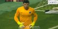 Ramon Motta Amazing Goal Besiktas 1 - 0 Club Brugge Europa League 19-2-2015