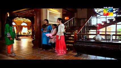 Zindagi Tum Ho Episode 11 Full HUM TV Drama Feb 27, 2015