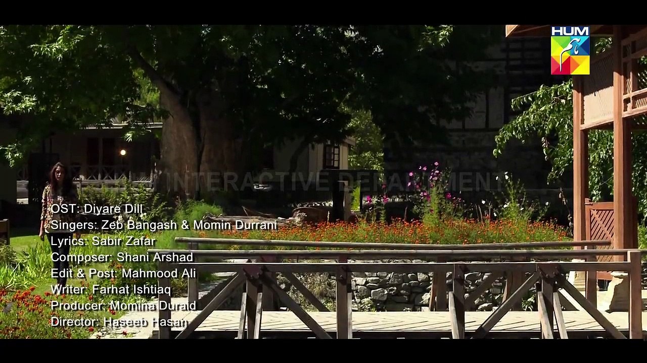 OST Diyar-E-Dil By Zeb Bangash