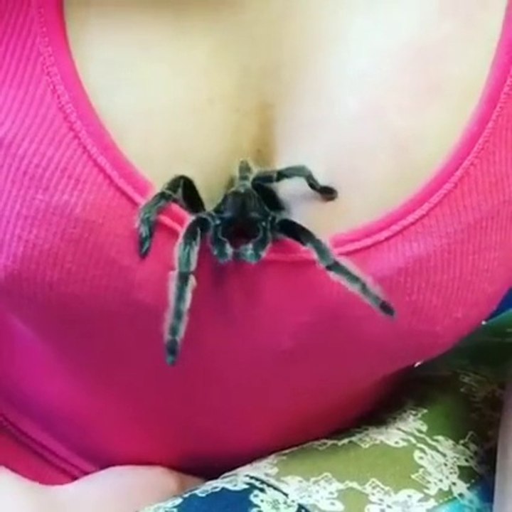 Ce joli décolleté cache quelque chose de surprenant !