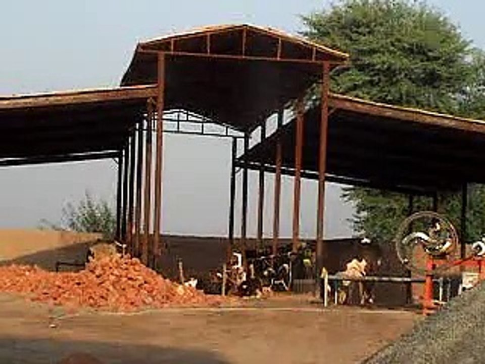 EH dairy farm 419jb gojra pakistan (102) ANIMALS