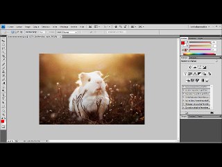 Tuto traitement sans blanchiment