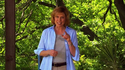 Inti Salud | Compañeros Naturales - Cimientos para una buena salud