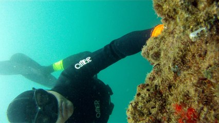 Ilha do Tesouro, Moai Gigante da Ilha da Páscoa, Praia Secreta, Peixes Venenosos, Navegação no Arquipélago da Almada, 25 milhas submarinas, Marcelo Ambrogi, Ubatuba, SP, Brasil, (21)