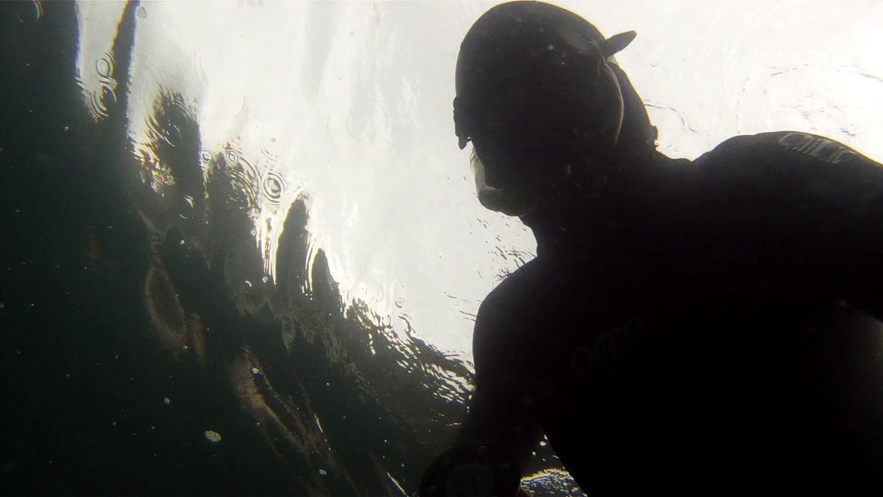 Ilha do Tesouro, Moai Gigante da Ilha da Páscoa, Praia Secreta, Peixes Venenosos, Navegação no Arquipélago da Almada, 25 milhas submarinas, Marcelo Ambrogi, Ubatuba, SP, Brasil, (24)