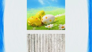 5ft X 7ft Vinyl Photo Backdrop Printed Photography Backgrounds Easter Egg and Wooden Floor