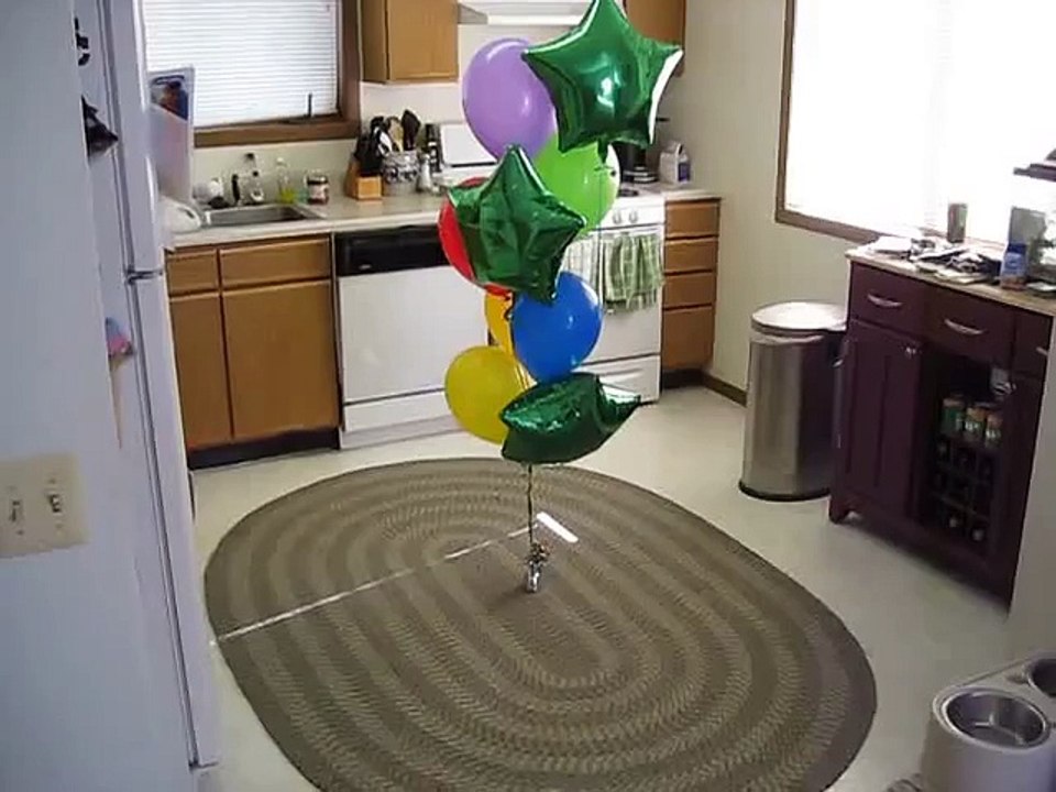 DOG vs. BALLOONS IV  AIRBORNE ASSAULT