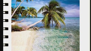 Vast Expanse Of Sea 10' x 10' CP Backdrop Computer Printed Scenic Background
