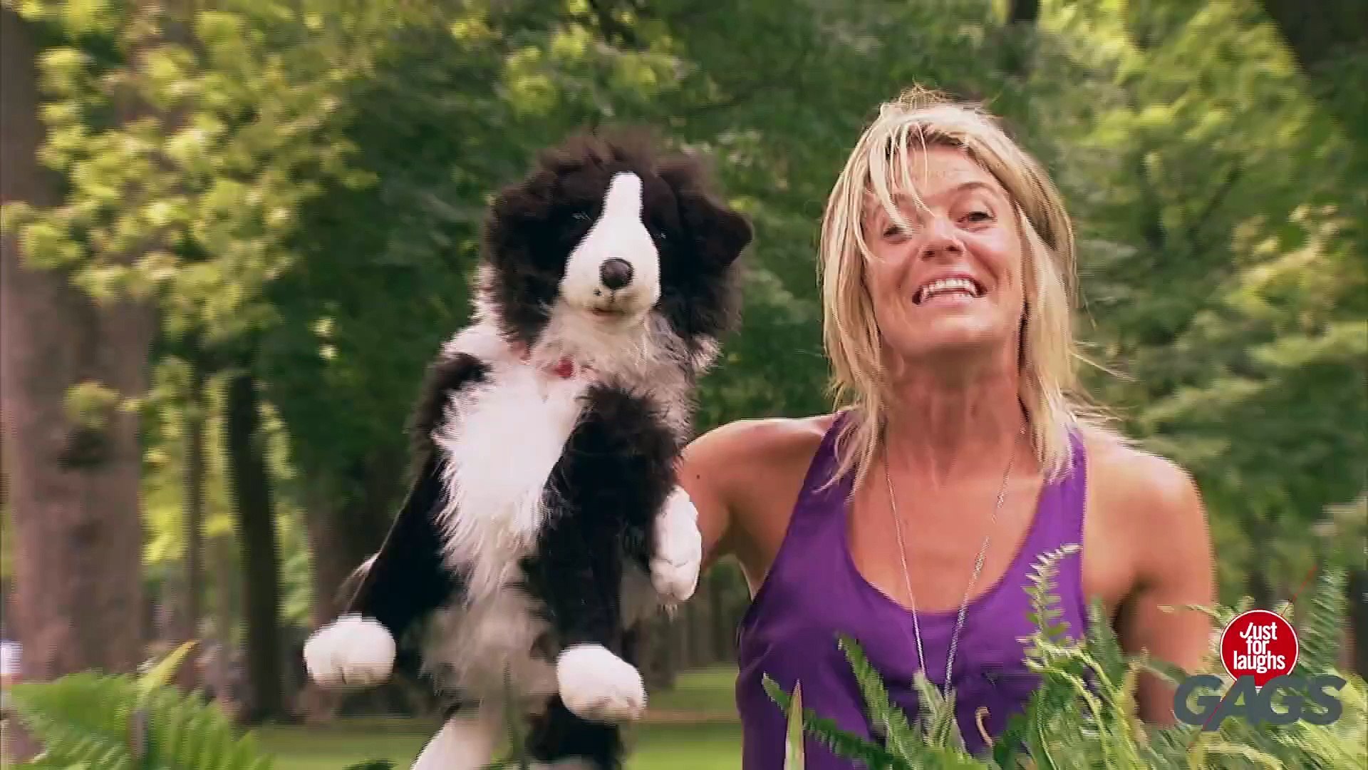 ⁣Stuffed Dog Attacks Real Dog