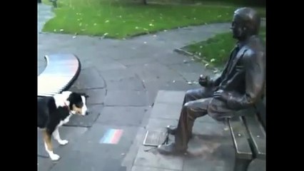 Very funny dog! Really determined too...[ORIGINAL]