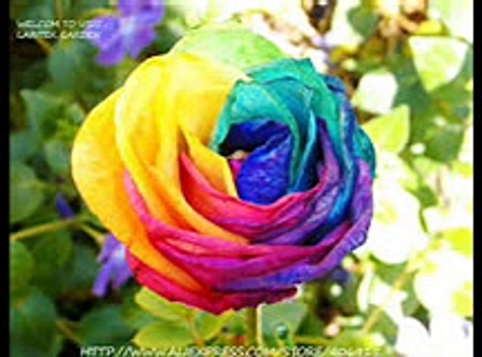 PASHTO bayan Wqia.e. Barrseesa Bayan by Shek .ull Qurr Aan Wall Hadees Molana Ghulam Hazrat Ghulam Sahib1