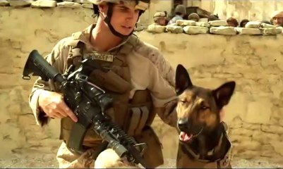 Max (2015) with Lauren Graham - Official Trailer