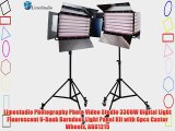Limostudio Photography Photo Video Studio 3300W Digital Light Fluorescent 6-Bank Barndoor Light