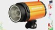 NEEWER Smart 250SDI 250W Photography Strobe Flash Studio Light Lamp Head 110V for DSLR Camera