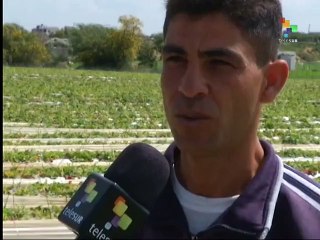Palestinian farmers and fishermen report Israeli attacks