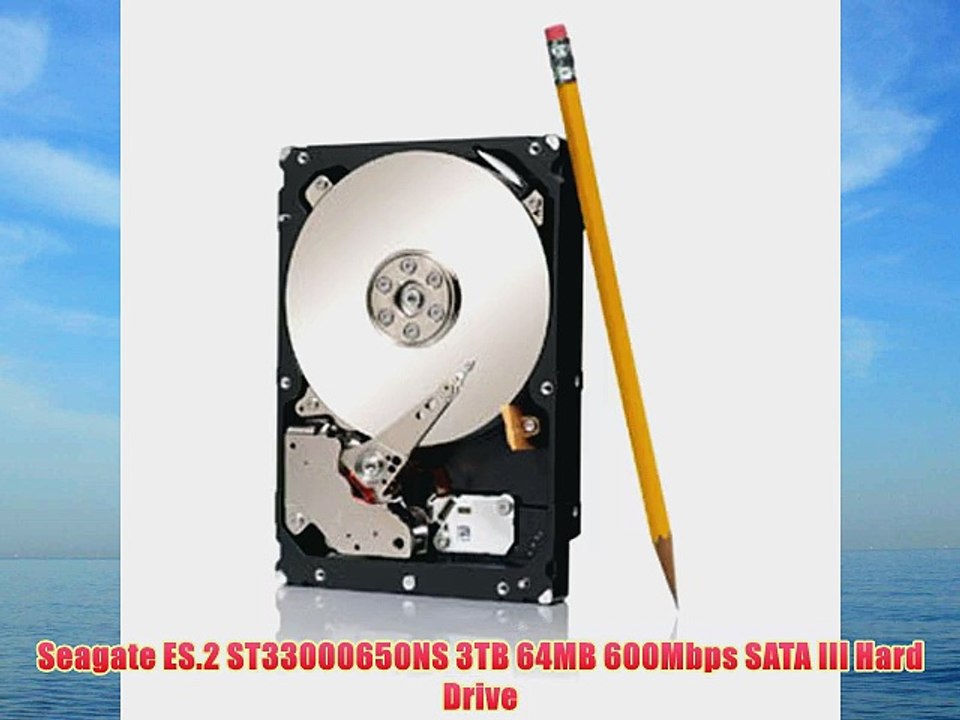 Seagate ES.2 ST33000650NS 3TB 64MB 600Mbps SATA III Hard Drive