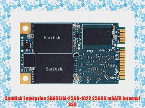Sandisk Enterprise SD6SF1M-256G-1022 256GB mSATA Internal SSD