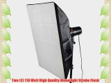 CowboyStudio 220 Watt Photo Studio Monolight Strobe/Flash Softbox Umbrella Lighting Kit - 2