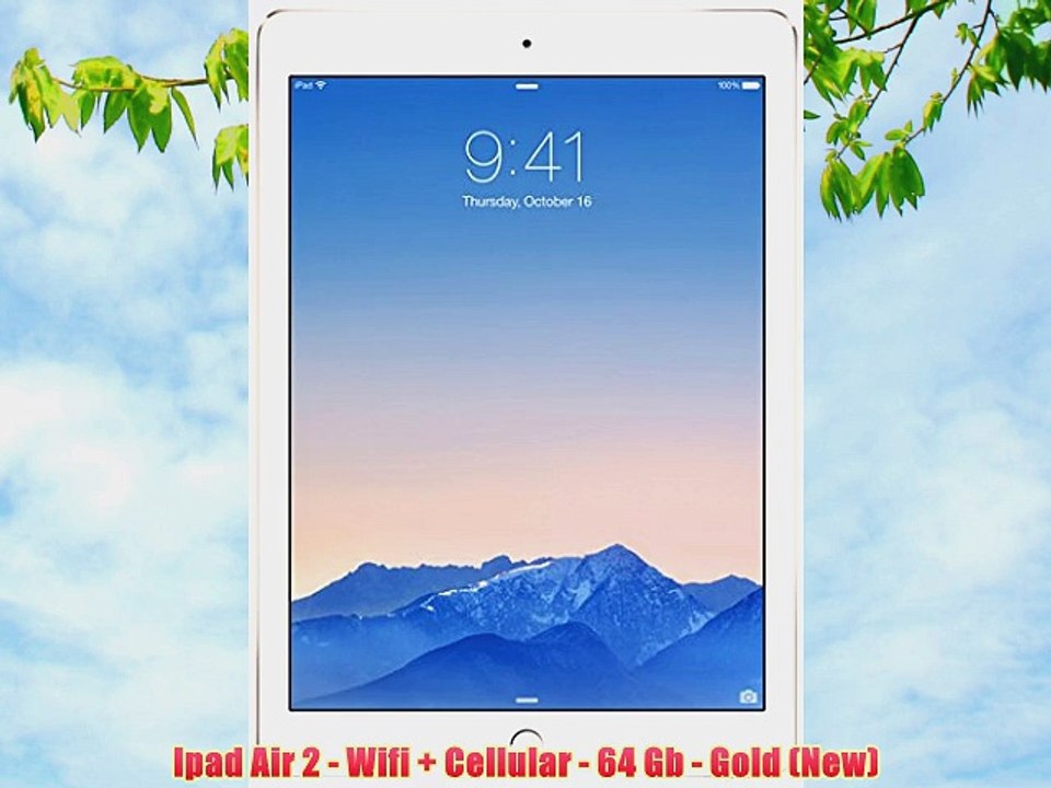 Ipad Air 2 - Wifi   Cellular - 64 Gb - Gold (New)