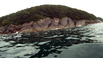 Ilha do Tesouro, Moai Gigante da Ilha da Páscoa, Praia Secreta, Peixes Venenosos, Navegação no Arquipélago da Almada, 25 milhas submarinas, Marcelo Ambrogi, Ubatuba, SP, Brasil, (45)