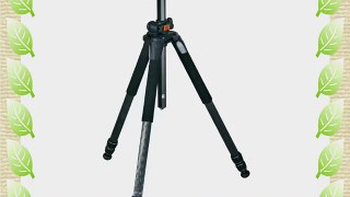 Vanguard Alta Pro 283CT Carbon Fiber Tripod Legs with Multi-Angle Central Column System