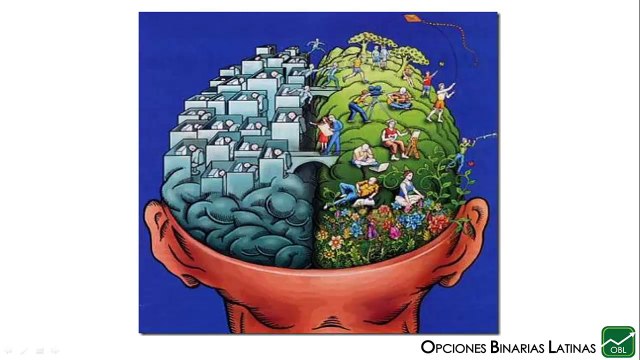 Hemisferio derecho contra hemisferio izquierdo