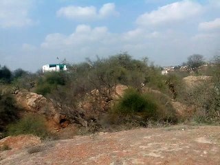 Harappa, The Ruins of Indus Vellay