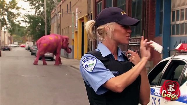 Best of Just For Laughs Gags - Most Crazy Complex Pranks