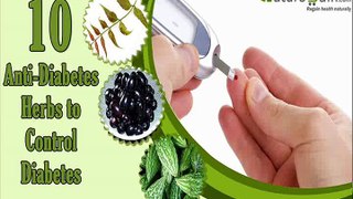 10 Anti-Diabetic Herbs to Control Diabetes or High Blood Sugar Levels