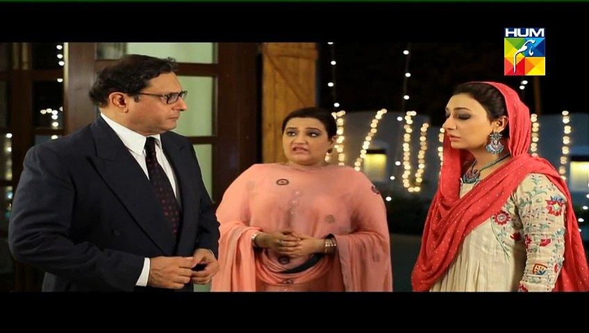 Mehram - Hum Tv - Episode 13 By Super Janlewa