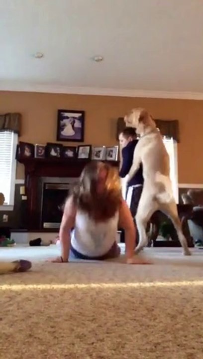 Une fille fait de la gym dans le salon et son frère fait le con avec le chien!