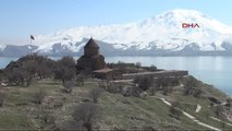 Van Akdamar Adası'ndaki Tavşanlar Toplanıyor